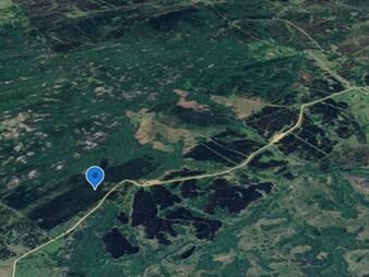 https://www.gallito.com.uy/campo-en-cerro-de-la-mina-maldonado-8-has-inmuebles-27156303