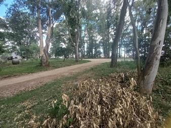 https://web5.gallito.com.uy/terreno-con-amplio-frente-metros-de-la-playa-en-balneario-e-inmuebles-27156358
