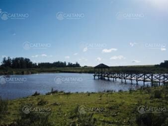 https://web5.gallito.com.uy/chacra-importante-en-r-39-con-700-m2-construidos-inmuebles-20574126