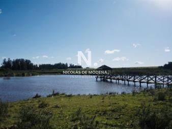 https://www.gallito.com.uy/chacra-importante-en-r-39-con-700-m2-construidos-inmuebles-25014283