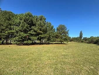 https://www.gallito.com.uy/dos-terrenos-en-venta-en-chacras-del-pinar-–-primera-etapa-inmuebles-27161492
