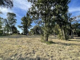 https://web5.gallito.com.uy/parque-jousten-manzana-d-lote-3-inmuebles-27161499