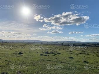 https://www.gallito.com.uy/venta-charas-ruta-39-maldonado-inmuebles-23800052