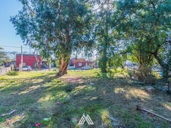 https://www.gallito.com.uy/venta-terreno-flor-de-maroñas-2145m²-en-4-padrones-inmuebles-26482802