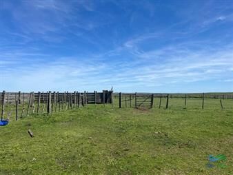 https://www.gallito.com.uy/3000-has-en-tacuarembo-campo-ganadero-inmuebles-27169905