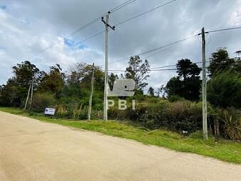 https://web5.gallito.com.uy/terreno-en-venta-la-capuera-ref-pbi1431-inmuebles-23063218