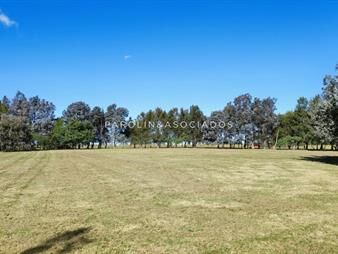 https://www.gallito.com.uy/hermoso-lote-en-venta-en-el-quijote-punta-del-inmuebles-25640457