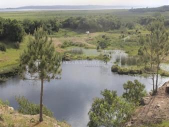 https://web5.gallito.com.uy/hermosa-chacra-en-venta-en-jose-ignacio-punta-inmuebles-17853184
