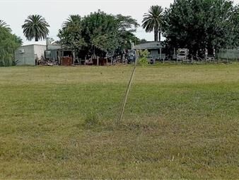 https://web5.gallito.com.uy/venta-terreno-600m2-a-1-cuadra-de-ruta-1-inmuebles-27156284