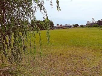 https://web5.gallito.com.uy/venta-terreno-600m2-casi-ruta-1-inmuebles-27156285