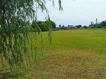 https://web5.gallito.com.uy/venta-terreno-600m2-casi-ruta-1-lote-10-inmuebles-27156286