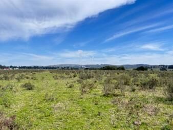 https://www.gallito.com.uy/campo-22-has-con-costa-de-arroyo-ideal-para-inmuebles-26059457