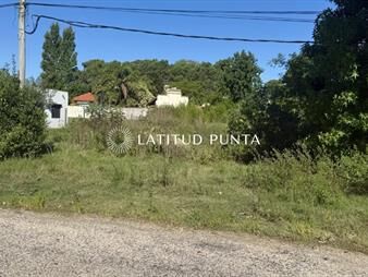 https://web5.gallito.com.uy/terreno-en-venta-en-marly-punta-del-este-inmuebles-27195910