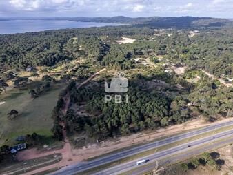 https://www.gallito.com.uy/terreno-en-la-serena-punta-ballena-ref-inmuebles-27212465