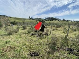 https://web5.gallito.com.uy/oportunidad-en-paraje-las-cañas-inmuebles-25269123