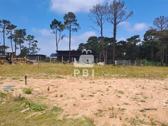 https://web5.gallito.com.uy/venta-de-lote-1000m2-nuevo-barrio-cerrado-en-la-inmuebles-24202564