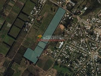 https://web5.gallito.com.uy/terreno-en-paso-de-la-arena-77000-m2-unicos-en-inmuebles-26228578
