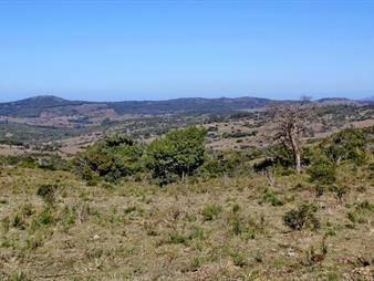 https://www.gallito.com.uy/campo-de-sierra-sobre-ruta-12-inmuebles-22538278