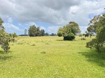 https://www.gallito.com.uy/campo-de-5-has-y-media-inmuebles-27212527