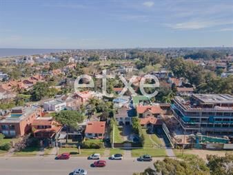 https://web5.gallito.com.uy/venta-conjunta-de-dos-padrones-en-carrasco-inmuebles-26415829