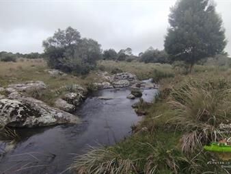 https://web5.gallito.com.uy/campo-en-venta-maldonado-en-la-zona-del-cerro-inmuebles-26785444