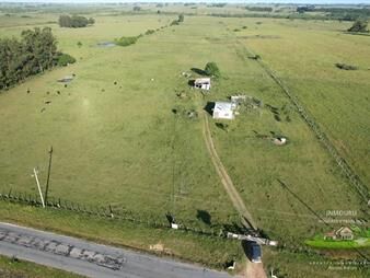 https://www.gallito.com.uy/campo-en-venta-en-san-carlos-inmuebles-27234865