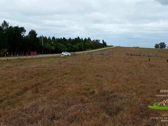 https://www.gallito.com.uy/campo-de-calidad-a-minutos-de-jose-ignacio-y-inmuebles-27234867