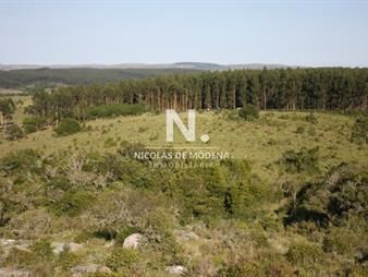 https://www.gallito.com.uy/chacra-de-5-has-en-venta-a-solo-23-km-de-garzon-inmuebles-23759246
