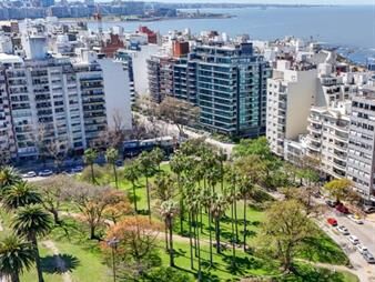 https://web5.gallito.com.uy/venta-apartamento-1-dormitorio-punta-carretas-pozo-inmuebles-27239895