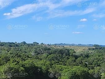 https://www.gallito.com.uy/campo-60-hs-en-pueblo-eden-ruta-12-inmuebles-26691287