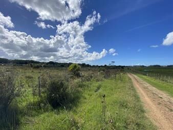 https://www.gallito.com.uy/venta-chacra-10-hectareas-ruta-104-manantiales-inmuebles-27025815