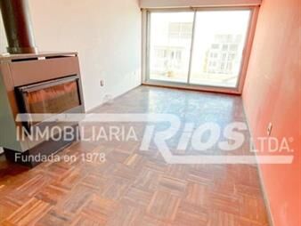 https://www.gallito.com.uy/cordon-sur-gaboto-esquina-guayabos-tipo-inmuebles-26265734