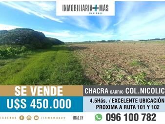 https://www.gallito.com.uy/chacra-en-venta-45has-colonia-nicolich-ruta-101-y-102-g-inmuebles-26162759