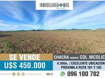 https://www.gallito.com.uy/chacra-en-venta-45has-colonia-nicolich-ruta-101-y-102-g-inmuebles-26162760