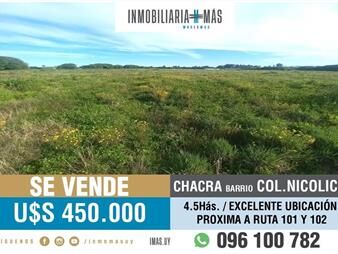 https://www.gallito.com.uy/chacra-en-venta-45has-colonia-nicolich-ruta-101-y-102-inmuebles-26162758
