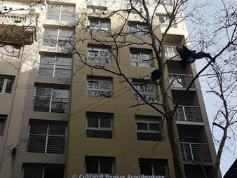 https://web5.gallito.com.uy/apartamento-de-2-dormitorios-en-venta-en-centro-con-renta-inmuebles-24106296