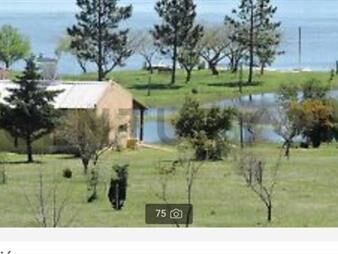 https://www.gallito.com.uy/complejo-turistico-soñado-excelente-rentabilidad-inmuebles-26395859