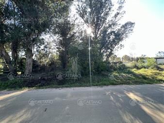 https://www.gallito.com.uy/terreno-en-venta-en-el-chorro-inmuebles-25807936