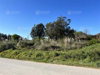 https://www.gallito.com.uy/terreno-en-el-chorro-a-1kmts-del-mar-y-ruta-10-inmuebles-25807953