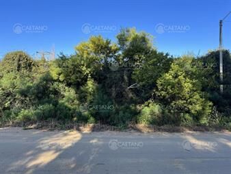 https://www.gallito.com.uy/terreno-en-venta-en-el-chorro-inmuebles-25807937