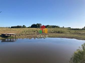 https://www.gallito.com.uy/proximo-a-pueblo-eden-inmuebles-27261472