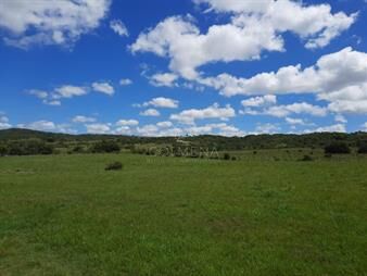 https://www.gallito.com.uy/linda-chacra-de-5-has-en-las-cañas-inmuebles-27261613