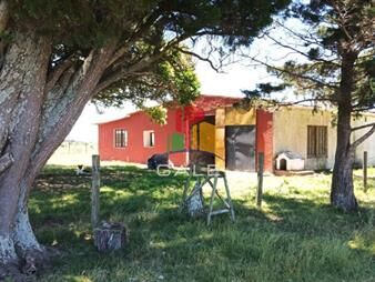 https://web5.gallito.com.uy/chacra-en-venta-en-sierras-del-carape-inmuebles-27261828