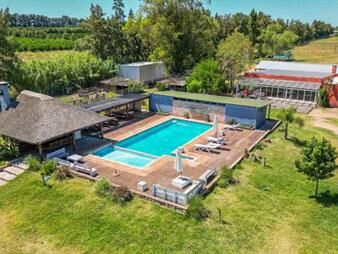 https://www.gallito.com.uy/venta-haras-establecimiento-para-eventos-canelones-inmuebles-26852395