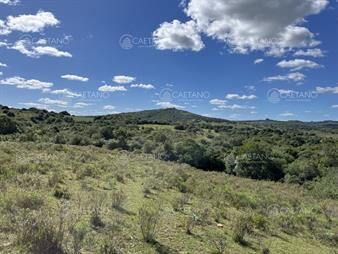 https://www.gallito.com.uy/venta-chacras-pueblo-eden-ruta-12-maldonado-inmuebles-27183785