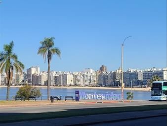 https://web5.gallito.com.uy/espectacular-planta-con-vistas-inigualables-de-la-bahia-inmuebles-27272258