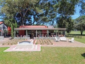 https://web5.gallito.com.uy/barrio-don-miguel-la-barra-inmuebles-25418106