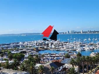 https://www.gallito.com.uy/tu-hogar-en-punta-del-este-inmuebles-26427351