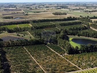 https://www.gallito.com.uy/venta-campo-quinta-92-hectareas-ruta-11-atlantida-inmuebles-27296751