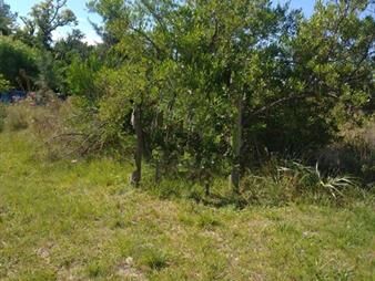 https://web5.gallito.com.uy/terrenos-en-balneario-los-pinos-2-inmuebles-26027037